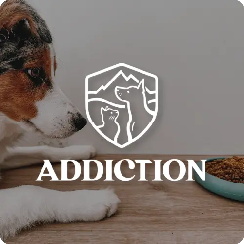 Addiction Pets