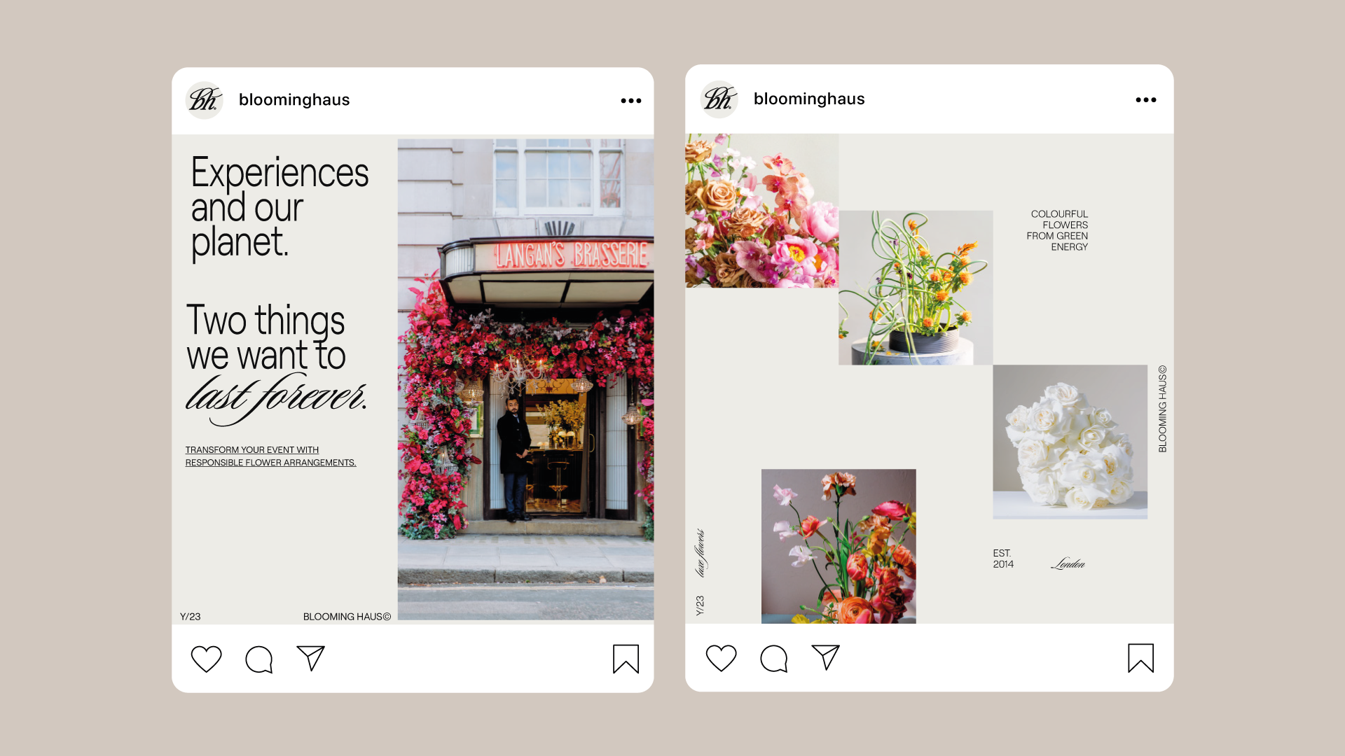 Flowers that last forever instagram blooming haus.