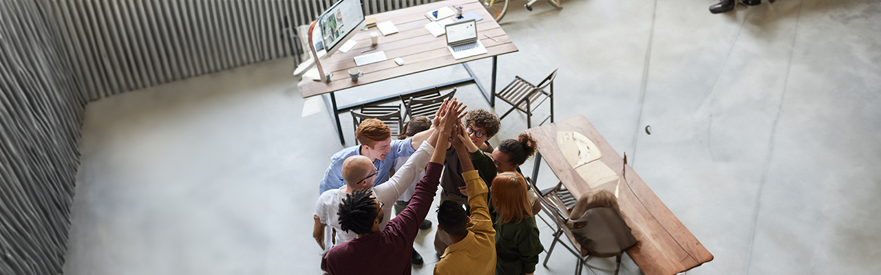 team-celebrating-company-results