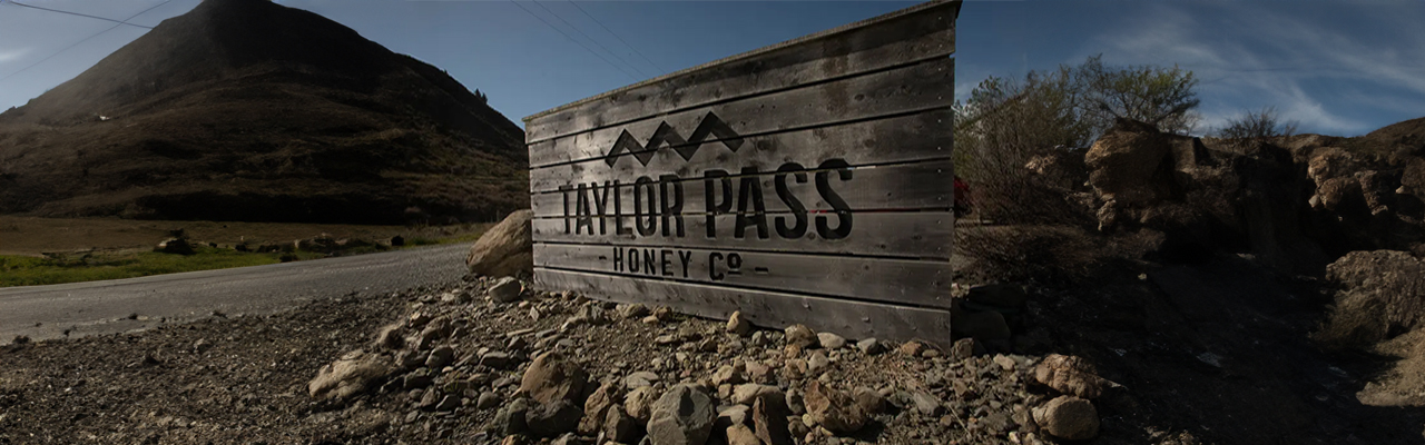 Taylor-Pass-Honey-Nurturing-Sustainable-Beekeeping