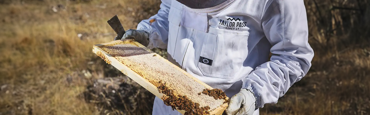 beekeeper-collecting-honey-taylor-pass-honey